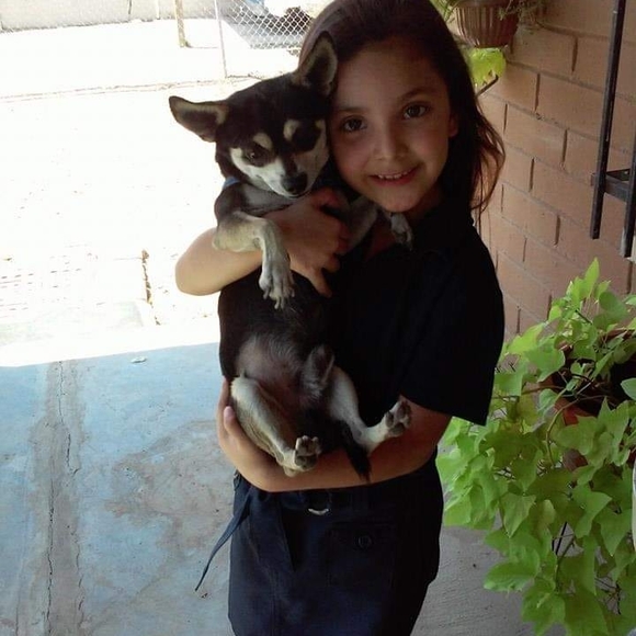 Meet your Posher, Jazmin - Picture 1 of 1